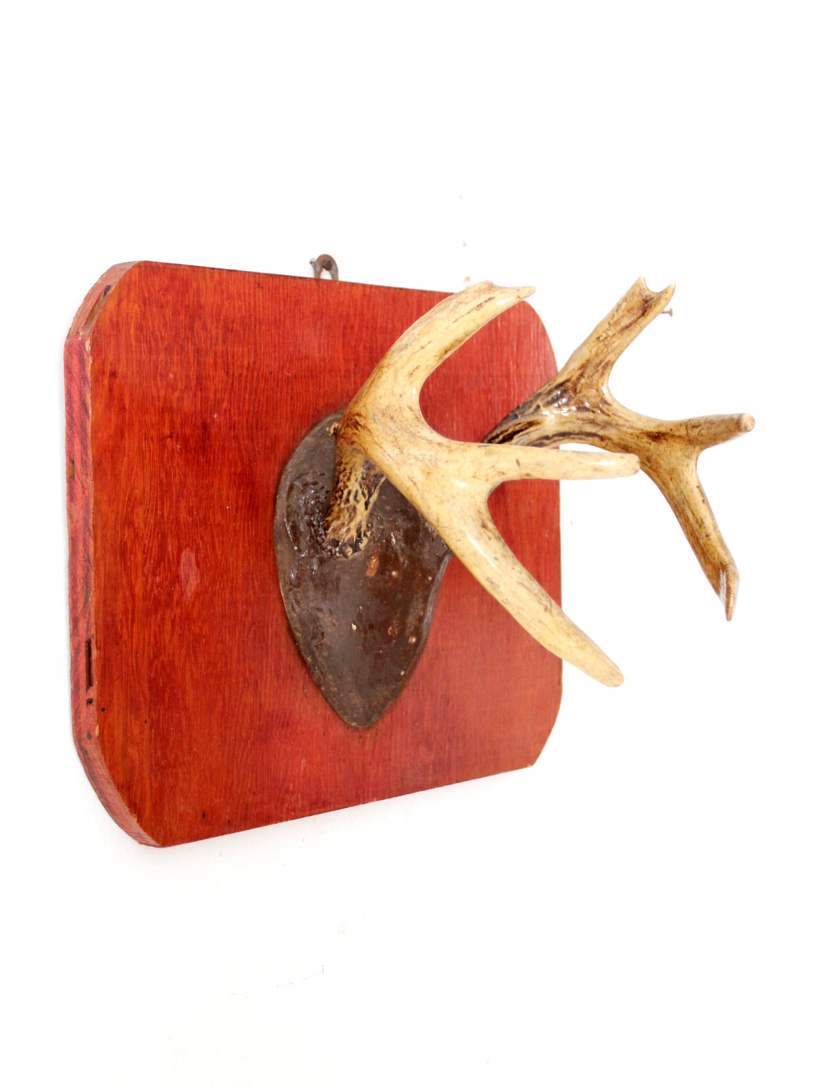 vintage deer antler wall mount