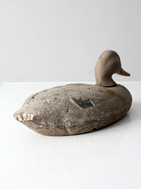 vintage mallard duck decoy