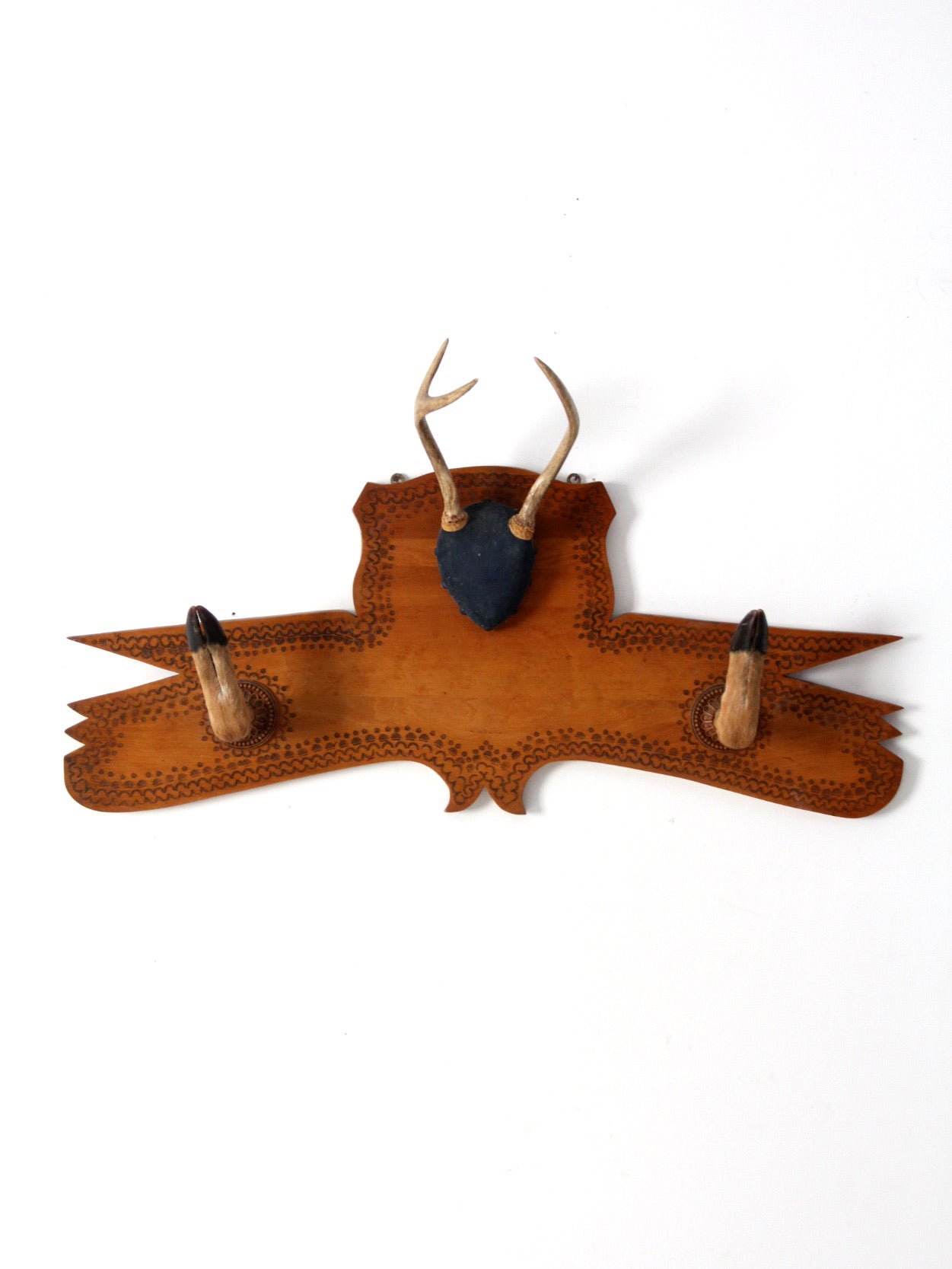 Real deer antlers mounted in wood hotsell frame