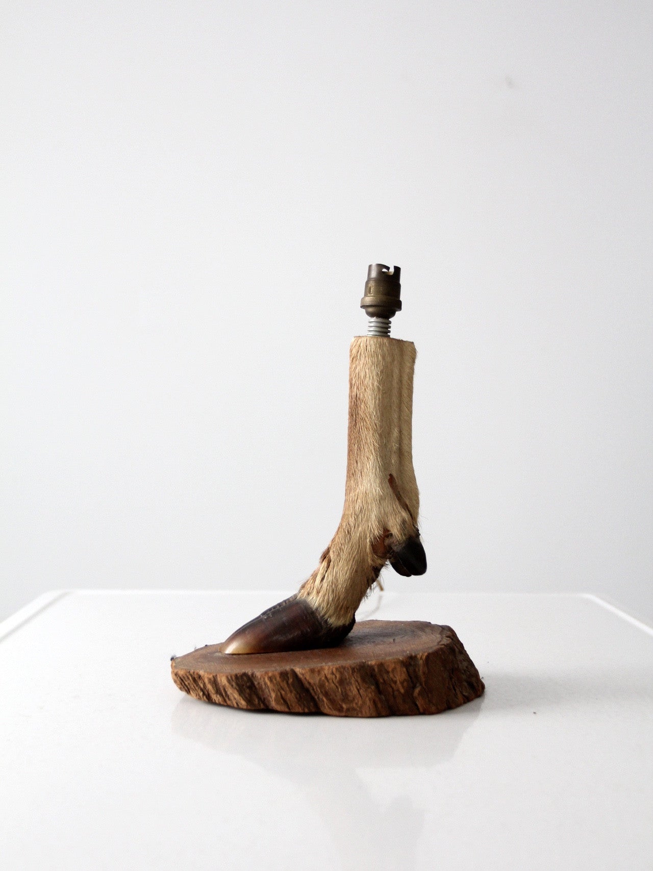 Deer hoof deals lamp