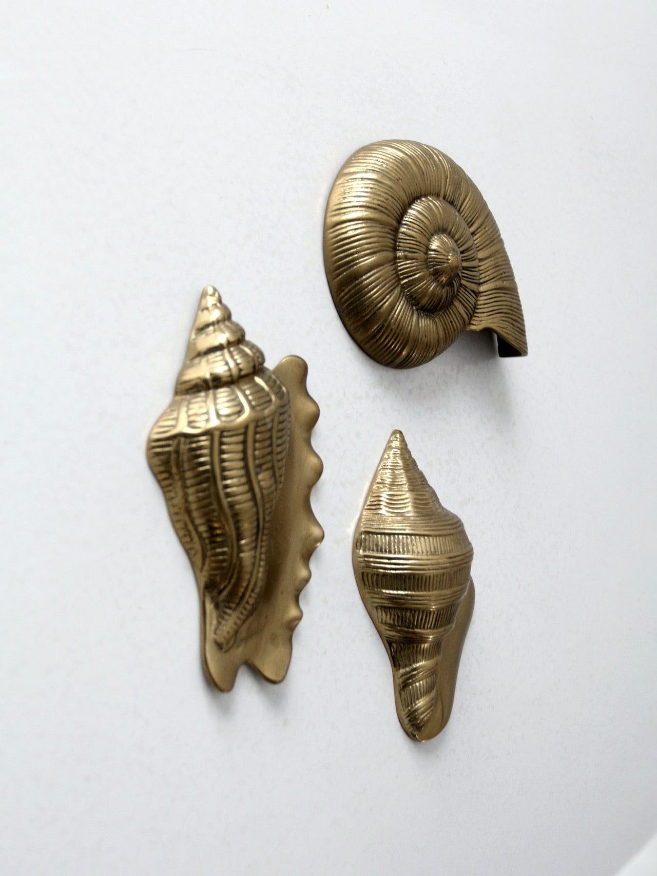 Brass Seashell - Brass Conch Shell - Vintage Brass Sea